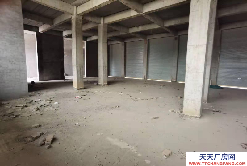 (出租) 亳州利辛城区金汇装饰城附近