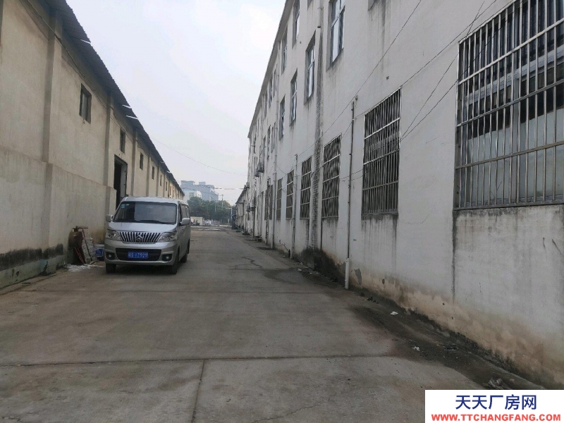 (出租) 亳州蒙城地理位置优越，环境好，出路方便