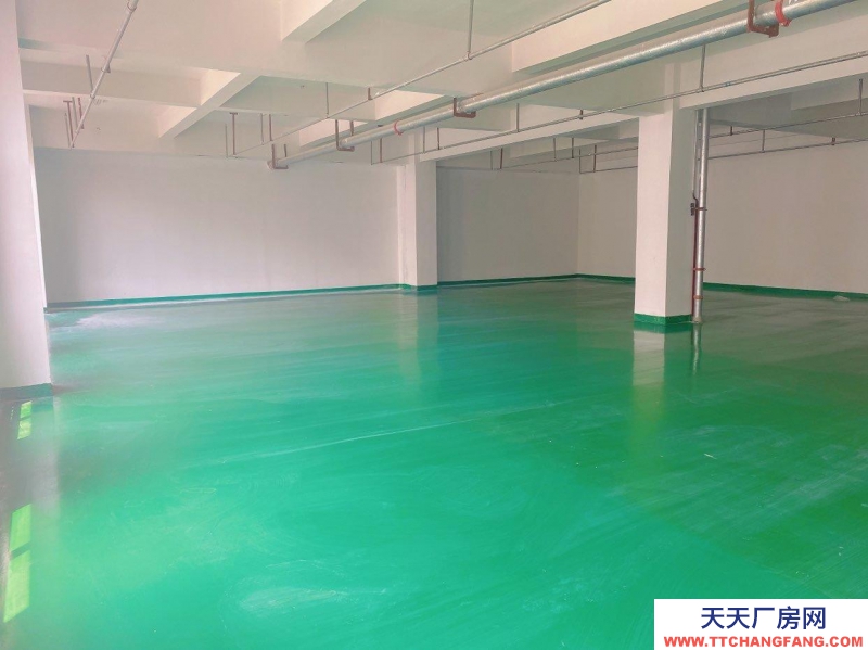 (出租) 宿州埇桥急租1250平厂房仓库，全新可分割可整租