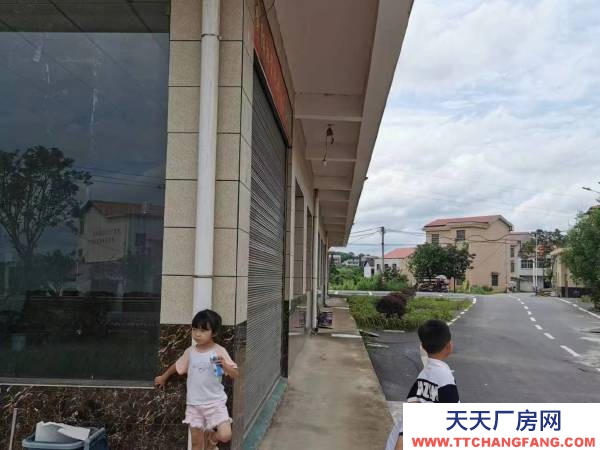 衡阳市衡阳县台源镇东湖村王大屋组 靠近西界公路