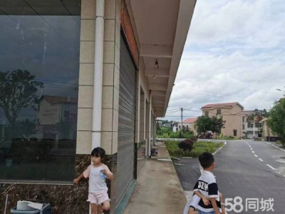 衡阳市衡阳县台源镇东湖村王大屋组 靠近西界公路图4