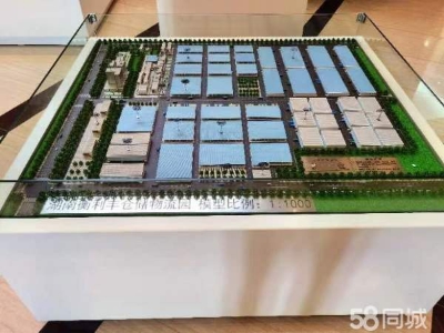衡阳市衡阳县 湖南专业高台仓库，高标冷库，可以定制图2