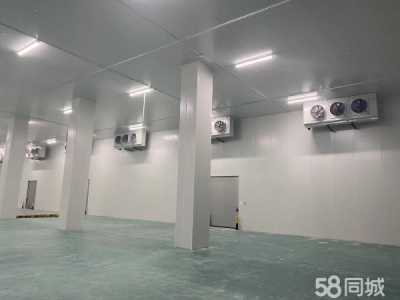 衡阳市衡阳县 湖南专业高台仓库，高标冷库，可以定制图4