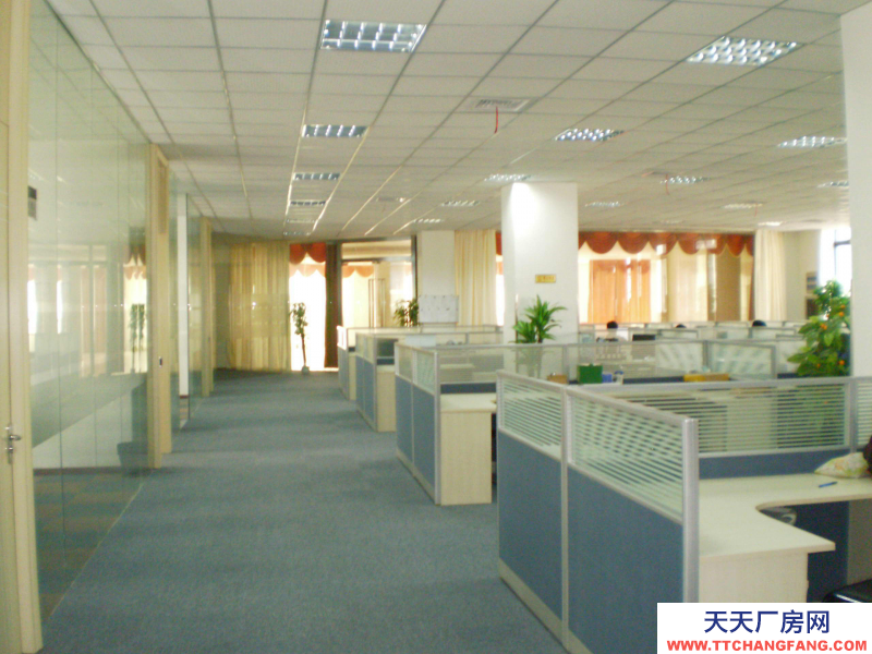 南翔精装修仓储/办公室出租拎包直接入驻随时等候您的加入