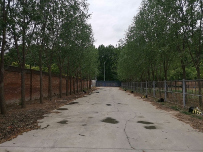 廊坊 安次  独门独院交通便利，大车出入方便，仓储物流，办公食宿均可。图2