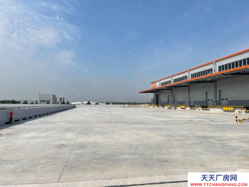 廊坊 安次 新建高标库 80000平招租中