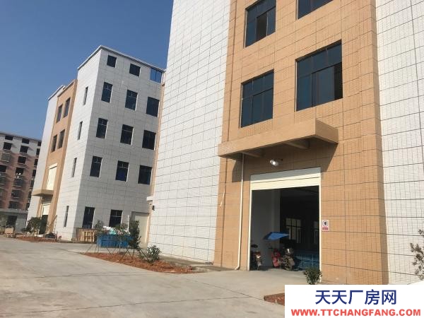 衡阳市衡南县 出租云集工业园全新厂房