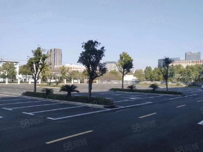 无锡滨湖（1200平准现房）50年国土，高速路口图3