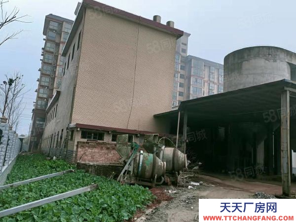 衡阳市衡南县 西渡中型厂房，可租可售，价格美丽，方便实用，位置好，配套齐全
