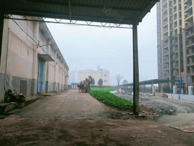 衡阳市衡南县 西渡中型厂房，可租可售，价格美丽，方便实用，位置好，配套齐全图2