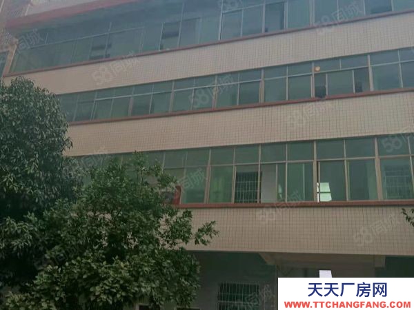 衡阳市衡南县 西渡中型厂房，可租可售，价格美丽，方便实用，位置好，配套齐全