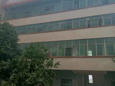 衡阳市衡南县 西渡中型厂房，可租可售，价格美丽，方便实用，位置好，配套齐全图4