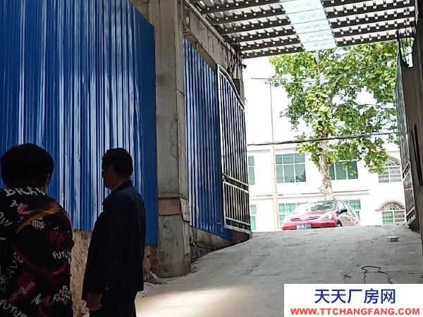 衡阳市祁东县写字办公楼厂房门面带仓库与套房出租
