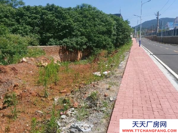 衡阳市祁东县 厂房出租可售免5年房租