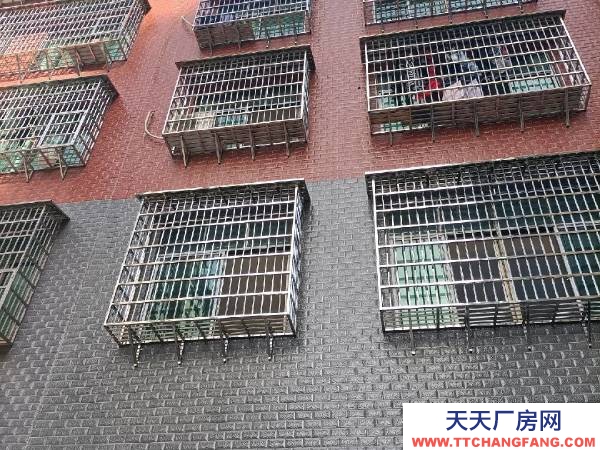 衡阳市常宁市 可办公，可做加工业，仓库，等