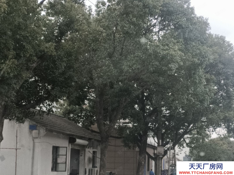 宁波北仑(出售) 出售北仑厂房面积9.37亩，出售价2680万，土地方正位置好