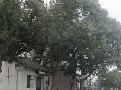 宁波北仑(出售) 出售北仑厂房面积9.37亩，出售价2680万，土地方正位置好图2