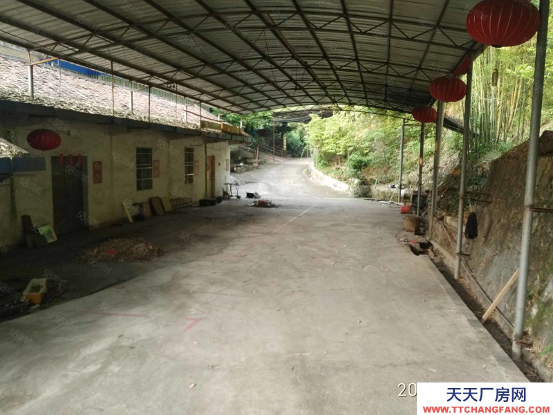 (出租) 韶关浈江近河边鑫金汇旁G323国道附近农庄出租价格面议面积三百多平