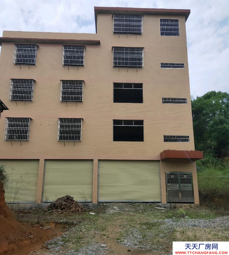 (出租) 韶关浈江大学路一中后面有办公仓库出租