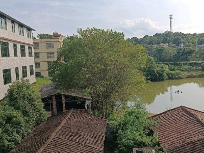(出租) 韶关浈江四层，旁边有空地，鱼塘，大车可进入图1