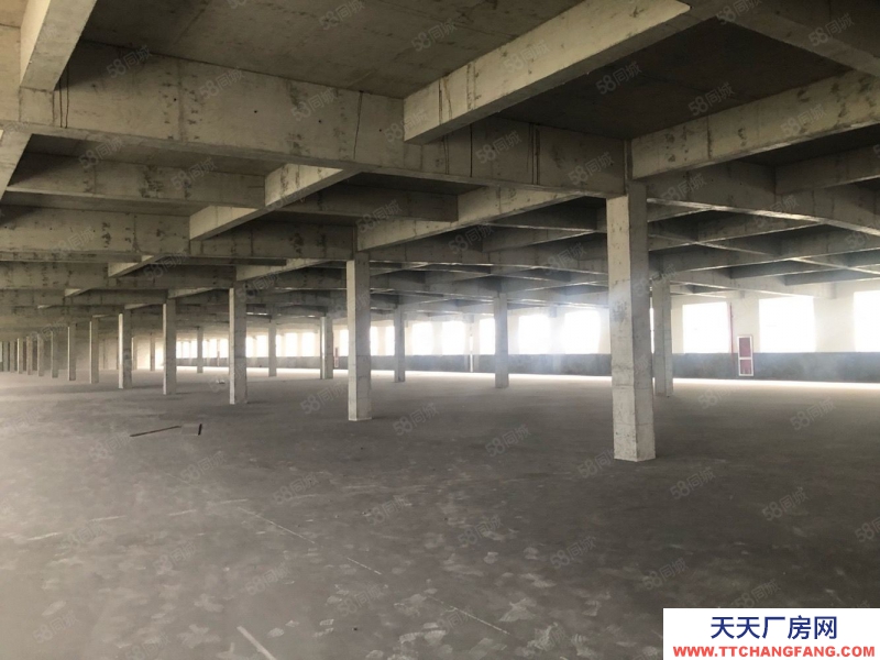 宁波镇海(出租) 镇海蛟川1000平方，高10米，5吨行车，30元