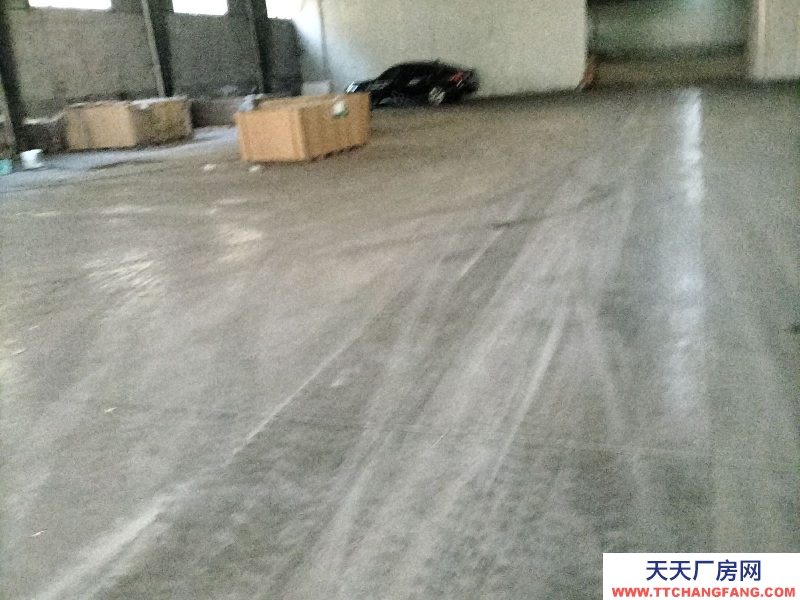 宁波镇海(出租) 出租全一楼厂房高7米800平方只做仓库，马上可用，价格面议