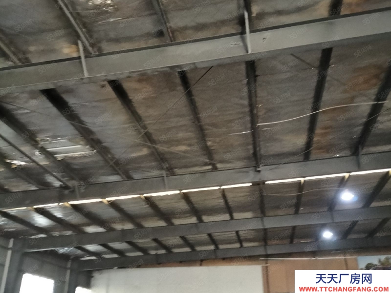 宁波镇海(出租) 出租全一楼厂房高7米800平方只做仓库，马上可用，价格面议