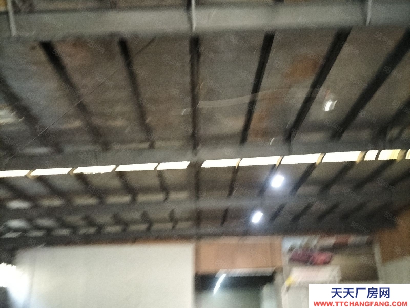 宁波镇海(出租) 出租全一楼厂房高7米800平方只做仓库，马上可用，价格面议