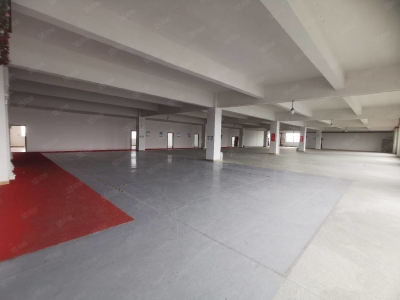 (出租) 中山石歧新出全新精装修标准厂房1300平大小面积可分租5吨电梯图2