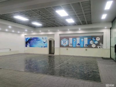 (出租) 西安碑林南门外库房招租，单位一手直租，适合各种库房。图4