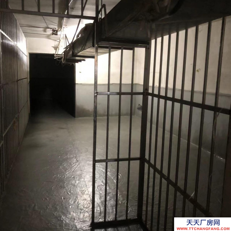(出租) 西安碑林超高性价比--出租地下室库房400㎡（大差市位置优越治安好）