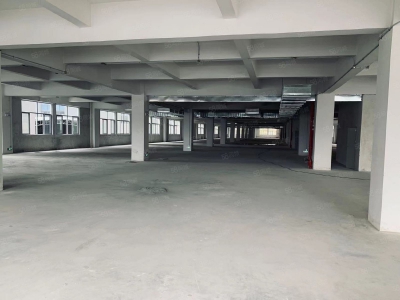 (出租) 中山石岐区新出独门独院标准13000方厂房招租，带豪华办公室图3