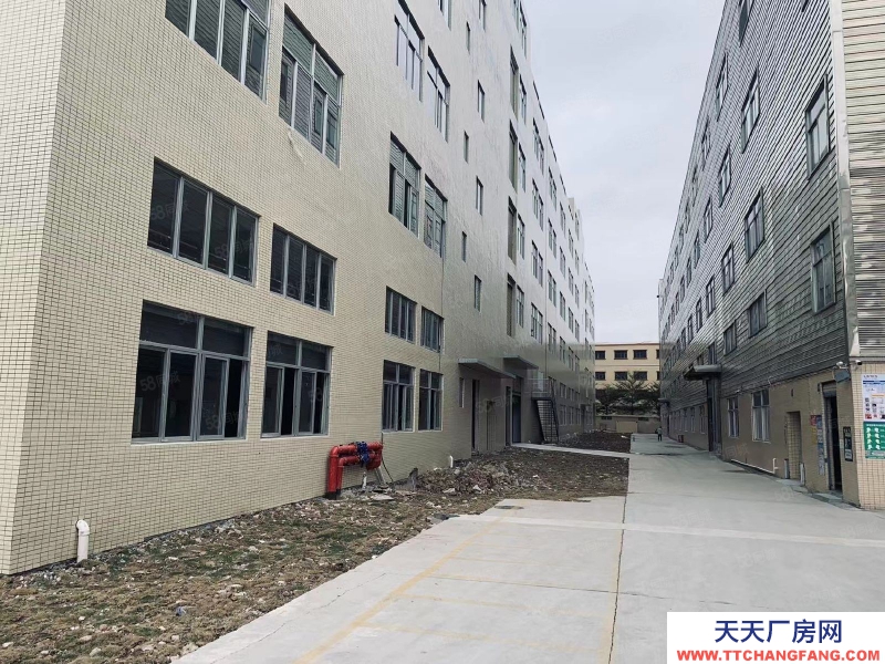 (出租) 中山石岐区新出独门独院标准13000方厂房招租，带豪华办公室