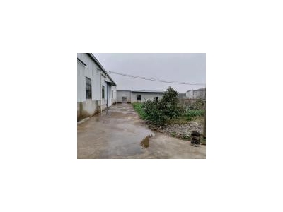 (出租) 黄冈武穴单门独院，占地面积4亩，内空地有果树莱园，生活设施齐全。图3