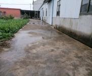 (出租) 黄冈武穴单门独院，占地面积4亩，内空地有果树莱园，生活设施齐全。