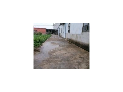 (出租) 黄冈武穴单门独院，占地面积4亩，内空地有果树莱园，生活设施齐全。图1