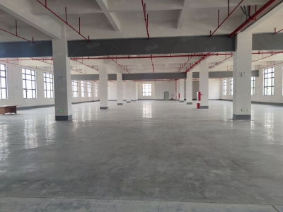 (出租) 中山坦洲6百米到珠海14元一方 5米层高全新精装 5台电梯 高端园区图2