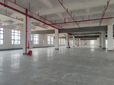 (出租) 中山坦洲6百米到珠海14元一方 5米层高全新精装 5台电梯 高端园区图1