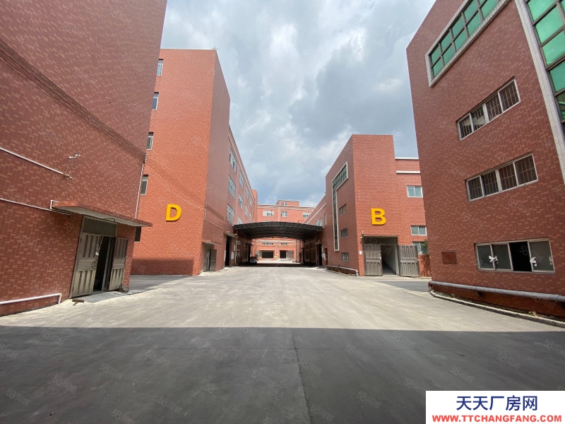 (出租) 中山火炬开发区独院独栋厂房出租