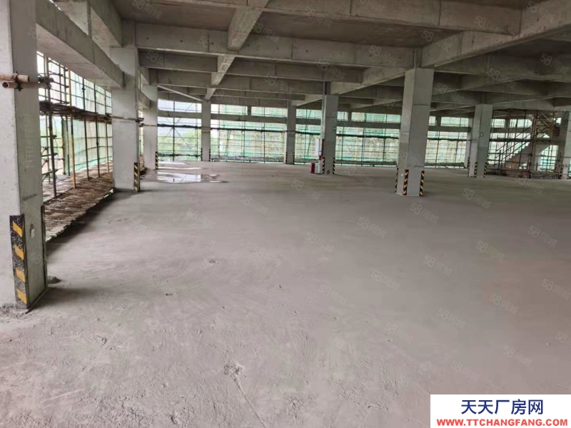 宁波镇海(出售) 绿城全新独栋厂房出售