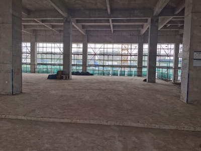 宁波镇海(出售) 绿城全新独栋厂房出售图4