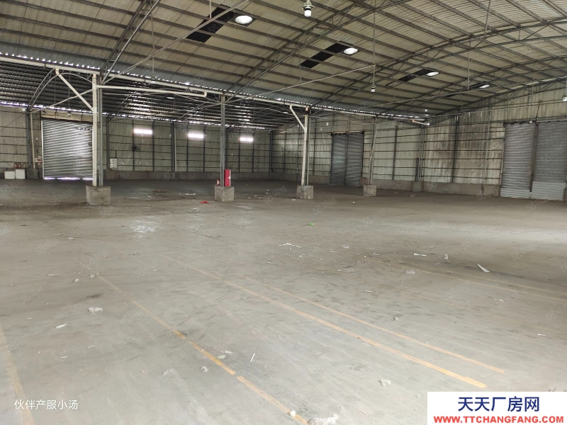 (出租) 中山东区超大空地！沙岗墟新出原房东独门独院滴水8米单一层厂房出租