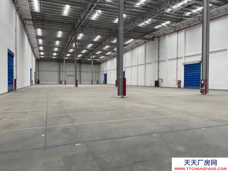 (出租) 西安长安高新现有20000方双边高台库出租
