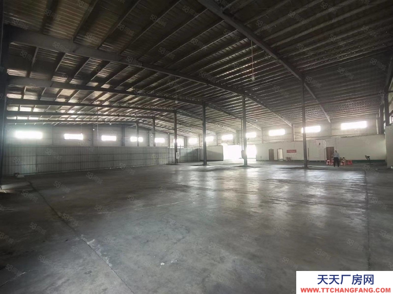 (出租) 中山西区新出钢构单一层厂房，滴水8米可500起租，空地大