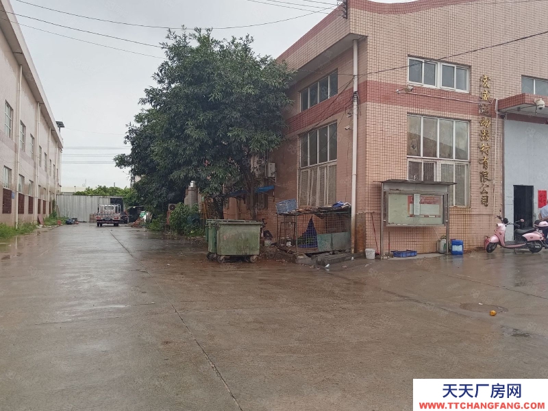 (出租) 中山西区新出单一层路边厂房800平空地大可进大车价格钜惠