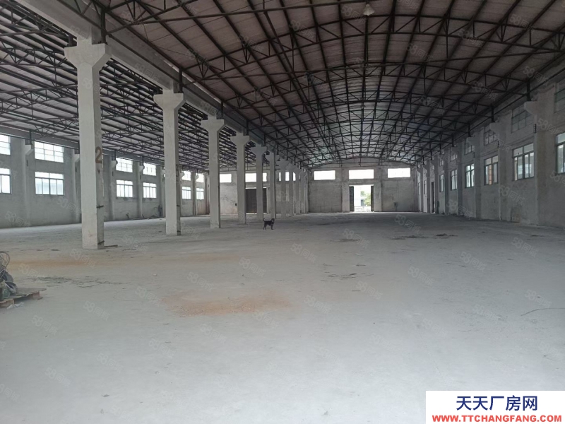 (出租) 中山西区街道沙朗市场附近新出单一层厂房3150平米出租带红本