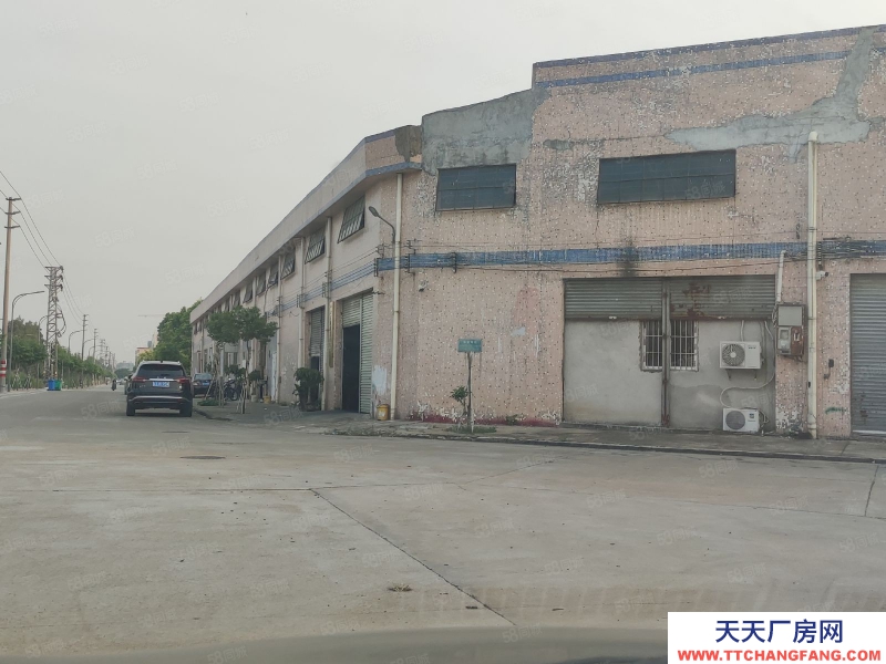 (出租) 中山西区富华路原房东独院简易厂房6000方出租滴水9米可分租
