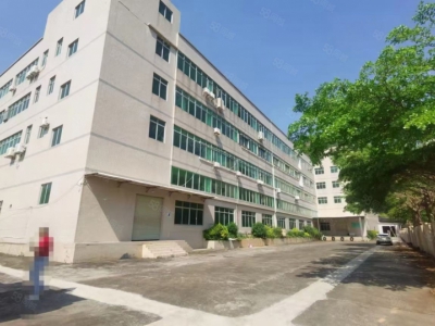 (出租) 中山小榄九洲基独门独院5500方出租图2