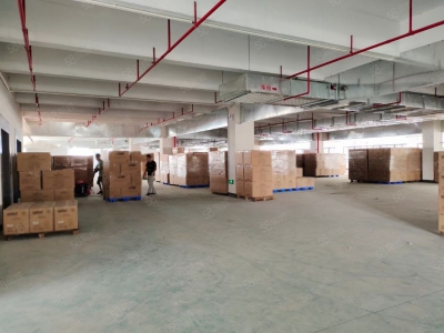 (出租) 中山小榄九洲基独门独院5500方出租图1