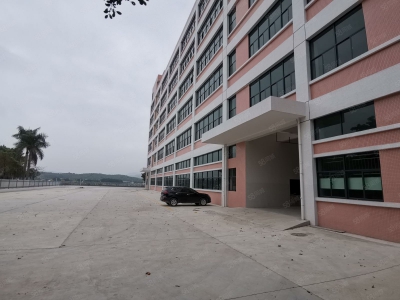 (出租) 中山小榄镇宝丰社区楼上每层3000方全新厂房出租分租一共5层图1